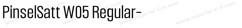 PinselSatt W05 Regular字体转换